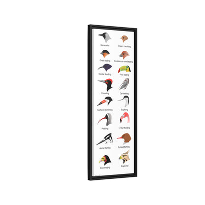 Bird Beak Adaptations Guide Poster, Bird Feeding Adaptations Identification Vertical Poster
