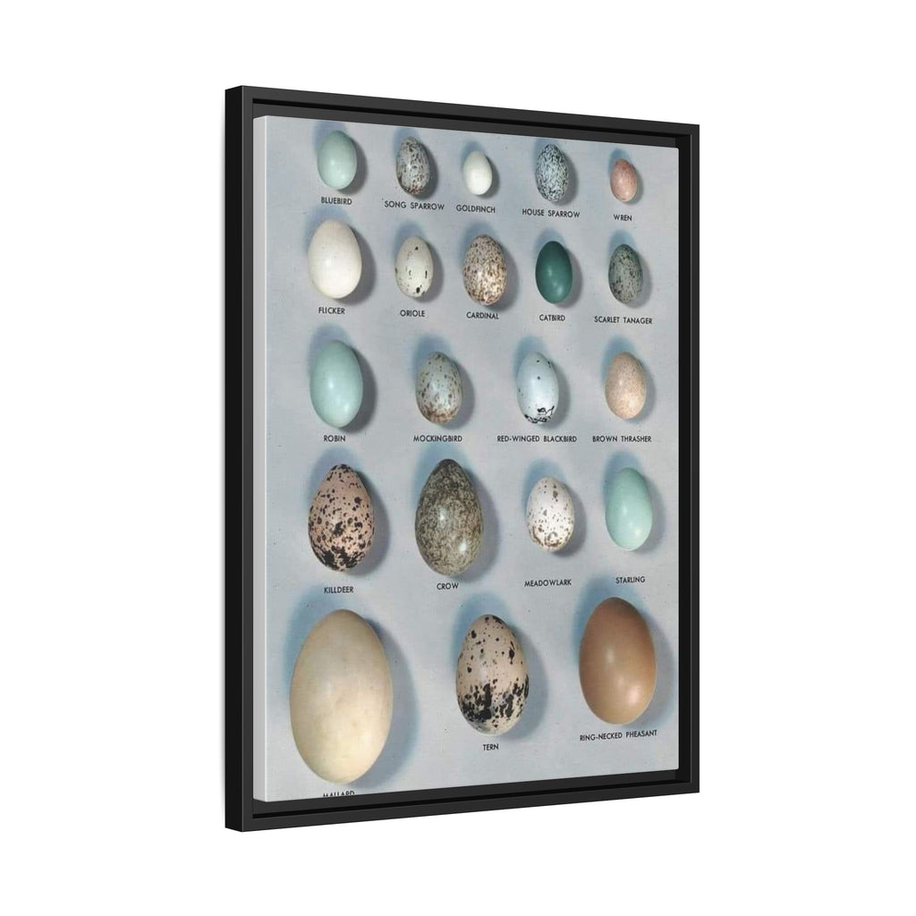 Bird Egg Identification Guide Vertical Poster and Canvas