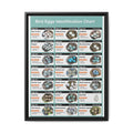 Bird Eggs Identification Chart Poster, Bird Egg Identification Guide, Egg Size and Color Comparison Chart, Ornithology Educational Canvas Print
