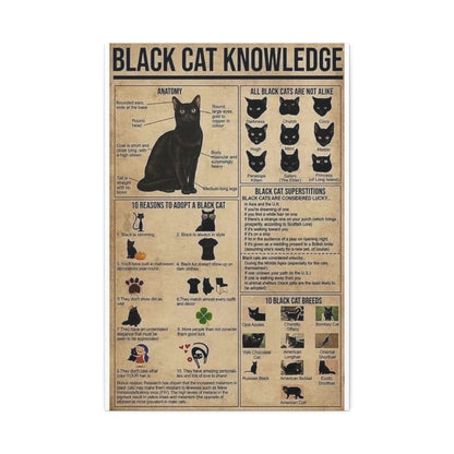 Black Cat Knowledge Poster, Black Cat Breeds And Superstitions Guide Vertical Poster