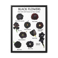 Black Flowers That Will Add Drama to Your Garden Vertical Poster and Canvas