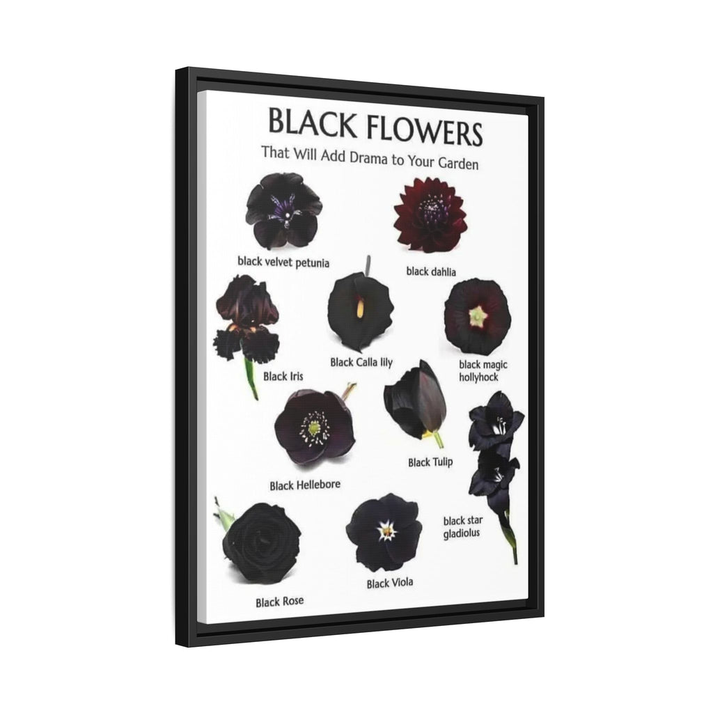 Black Flowers That Will Add Drama to Your Garden Vertical Poster and Canvas