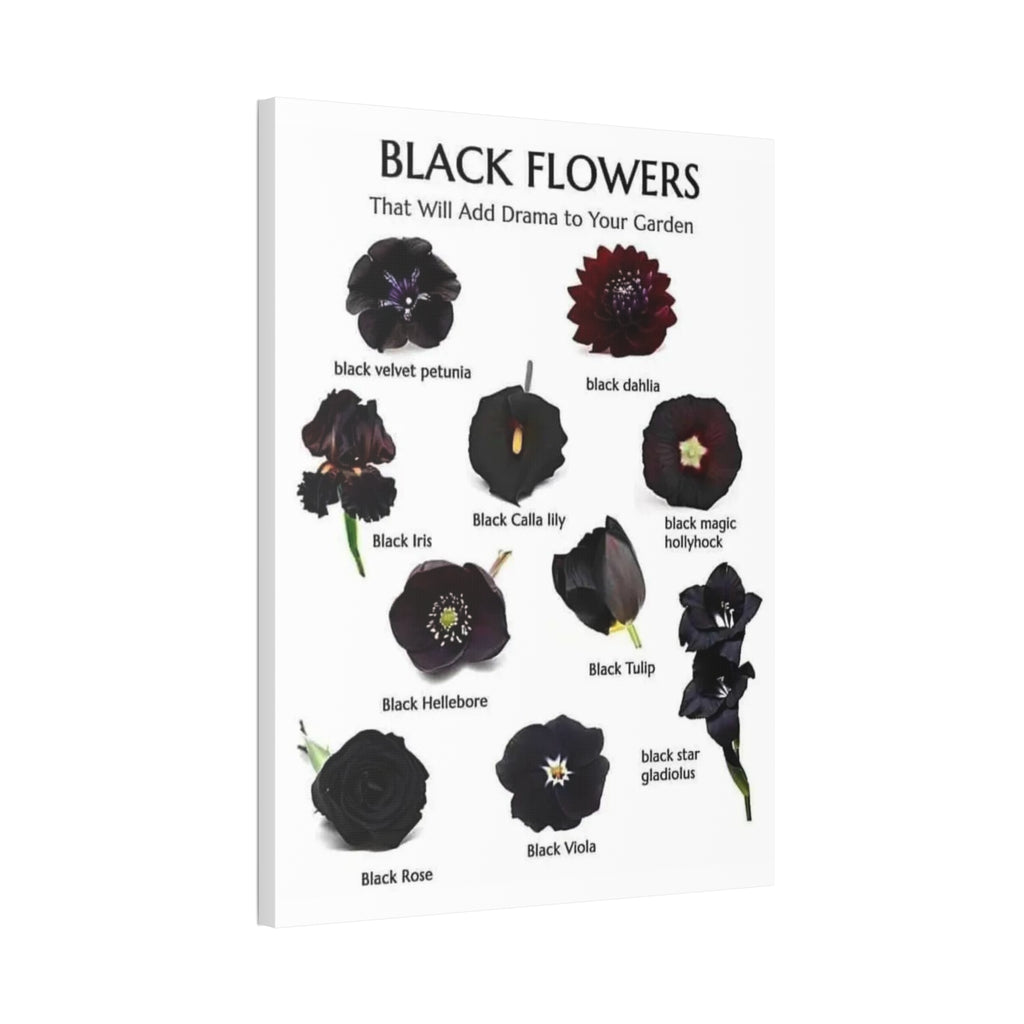 Black Flowers That Will Add Drama to Your Garden Vertical Poster and Canvas