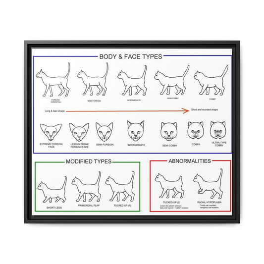 Body & Face Types Poster, Cat Body Shape and Face Type Guide, Feline Conformation Chart Educational Canvas Print