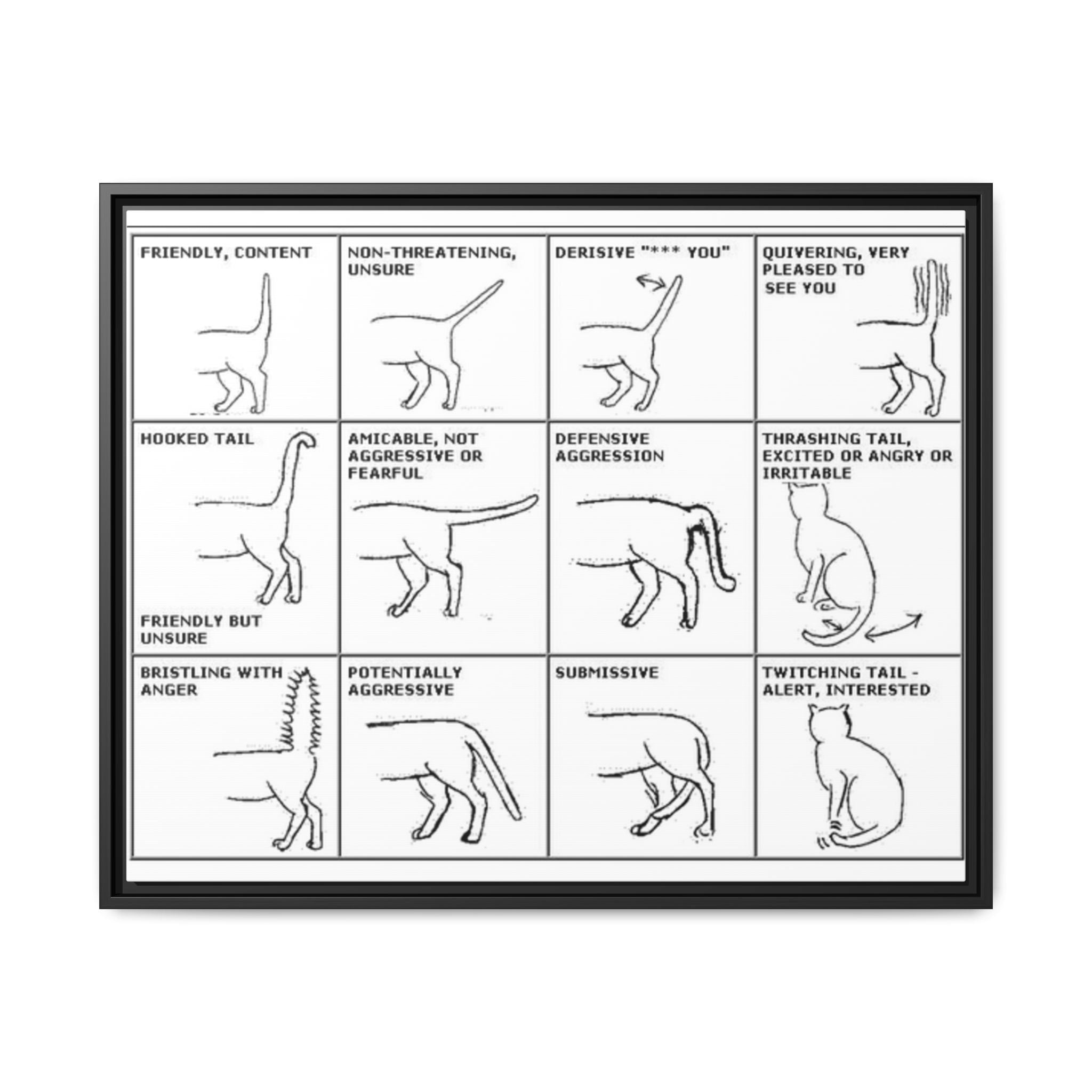 Body Language of a Cat Poster, Cat Tail Position Guide, Feline Body Language Chart Educational Pet Behavior Canvas Print