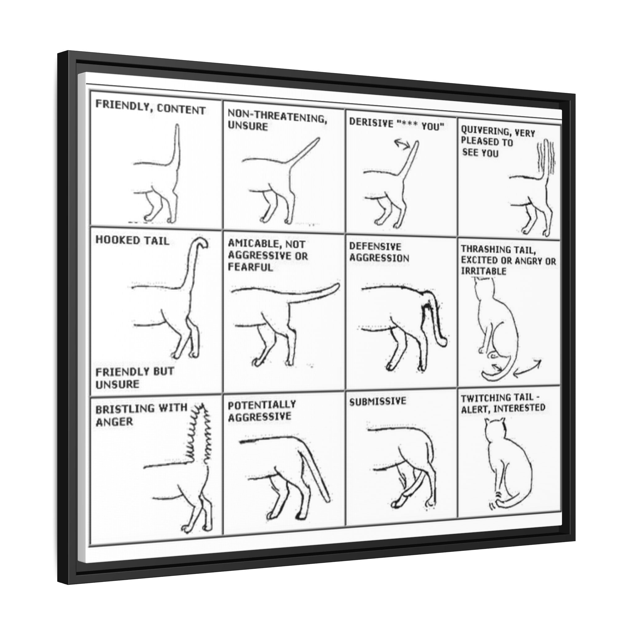 Body Language of a Cat Poster, Cat Tail Position Guide, Feline Body Language Chart Educational Pet Behavior Canvas Print