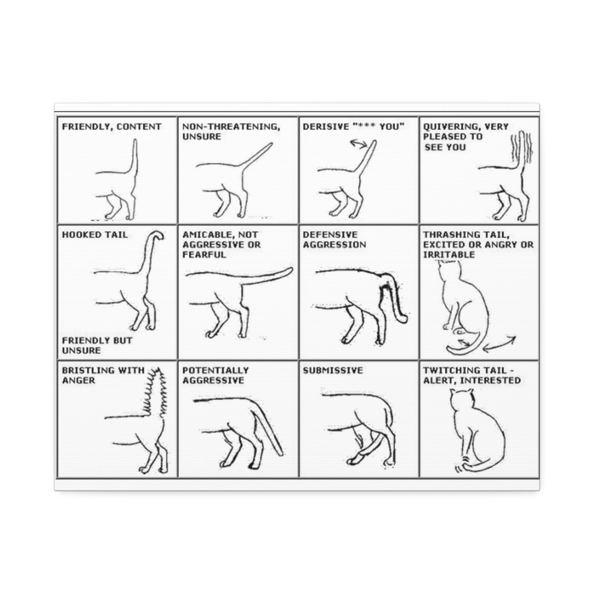 Body Language of a Cat Poster, Cat Tail Position Guide, Feline Body Language Chart Educational Pet Behavior Canvas Print