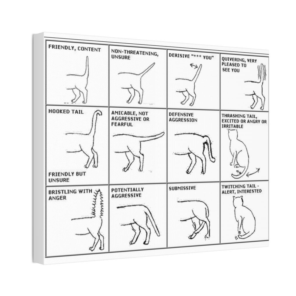 Body Language of a Cat Poster, Cat Tail Position Guide, Feline Body Language Chart Educational Pet Behavior Canvas Print