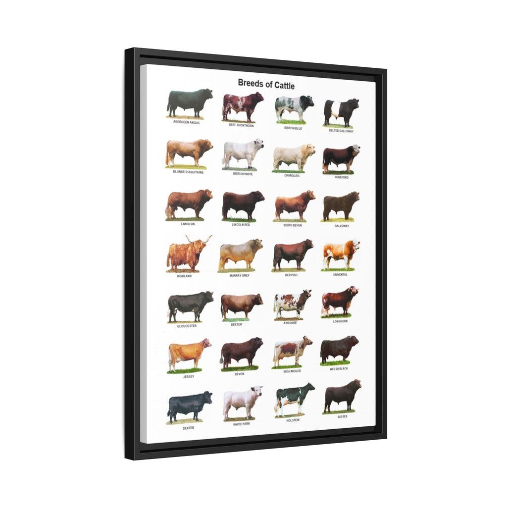 Breeds of Cattle Poster, Cattle Breed Identification Chart, Cow and Bull Breeds Guide Educational Farm Animal Canvas Print