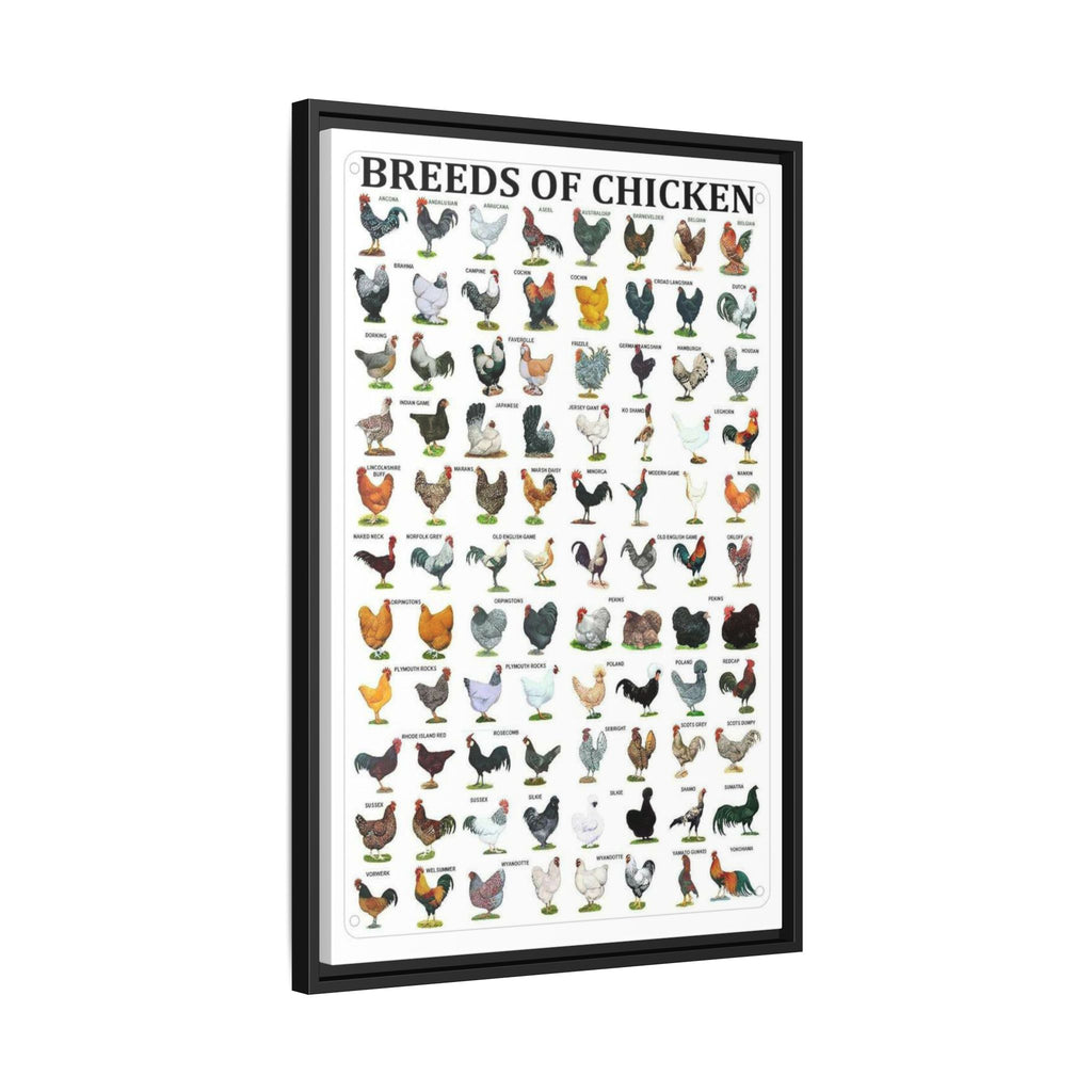 Breeds of Chicken Poster, Chicken Breed Identification Chart, Poultry Breeds Guide Educational Farm Animal Canvas Print