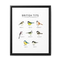 British Tits Poster, British Tit Bird Identification Chart, Garden Tit Species Guide, UK Birdwatching Educational Canvas Print