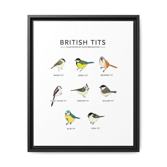 British Tits Poster, British Tit Bird Identification Chart, Garden Tit Species Guide, UK Birdwatching Educational Canvas Print