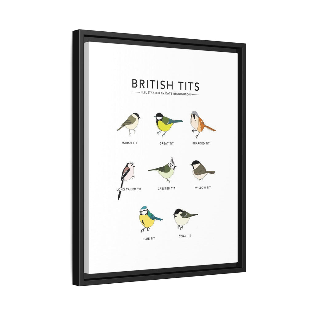 British Tits Poster, British Tit Bird Identification Chart, Garden Tit Species Guide, UK Birdwatching Educational Canvas Print