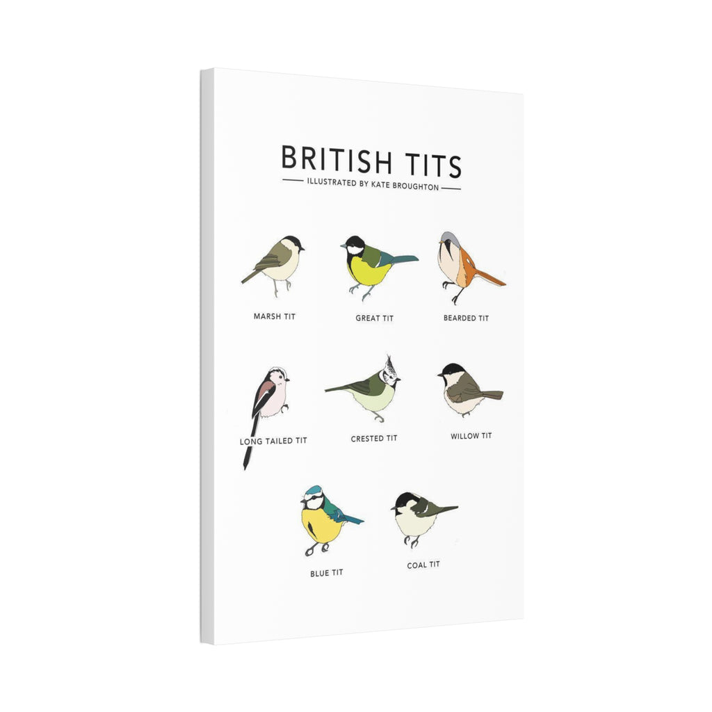 British Tits Poster, British Tit Bird Identification Chart, Garden Tit Species Guide, UK Birdwatching Educational Canvas Print