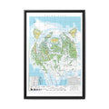 Brown Bear Family Tree Map Poster, Ursidae Evolution Chart Print, Bear Species Identification Wall Art, Wildlife Gift