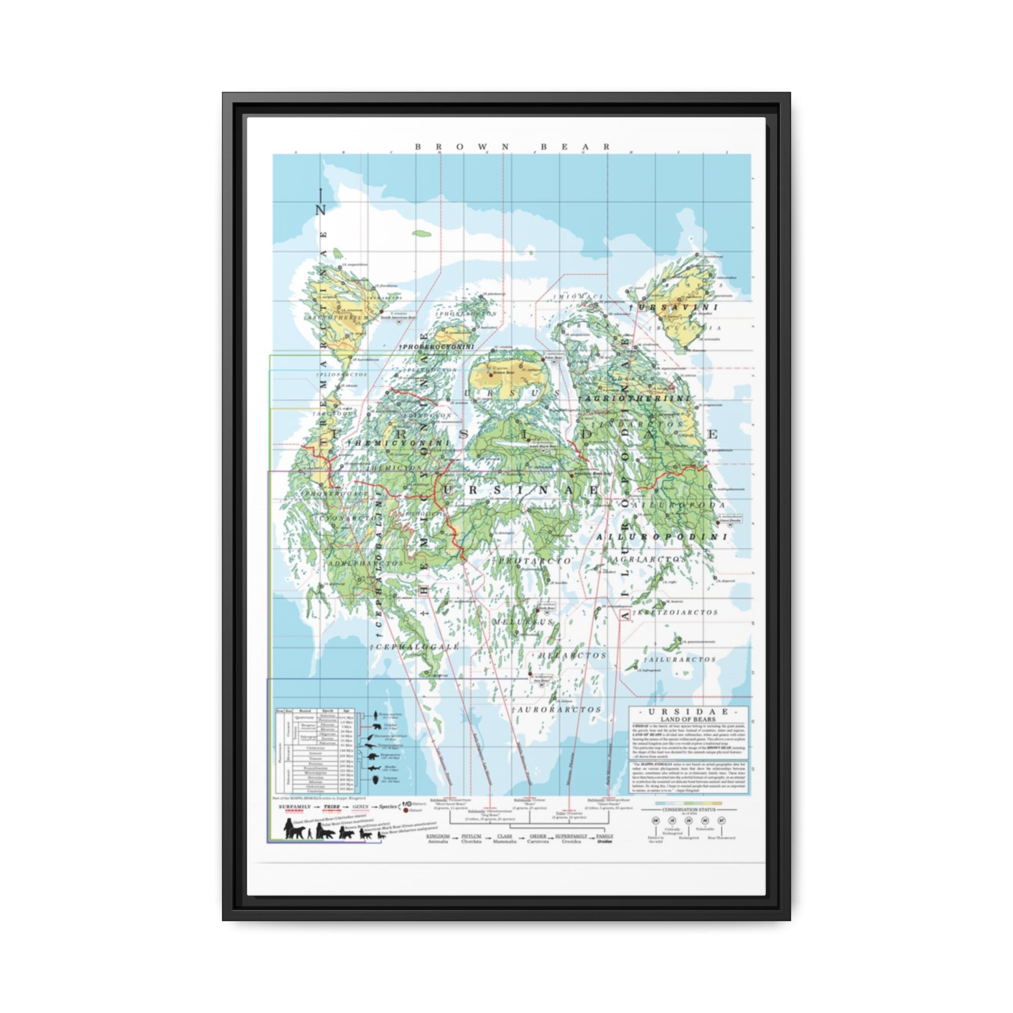 Brown Bear Family Tree Map Poster, Ursidae Evolution Chart Print, Bear Species Identification Wall Art, Wildlife Gift