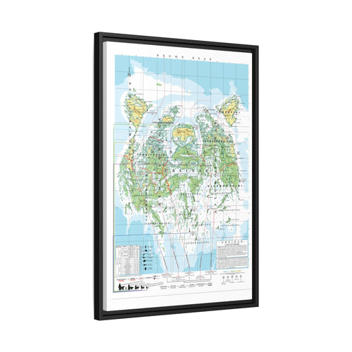 Brown Bear Family Tree Map Poster, Ursidae Evolution Chart Print, Bear Species Identification Wall Art, Wildlife Gift
