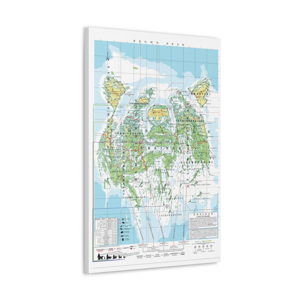 Brown Bear Family Tree Map Poster, Ursidae Evolution Chart Print, Bear Species Identification Wall Art, Wildlife Gift