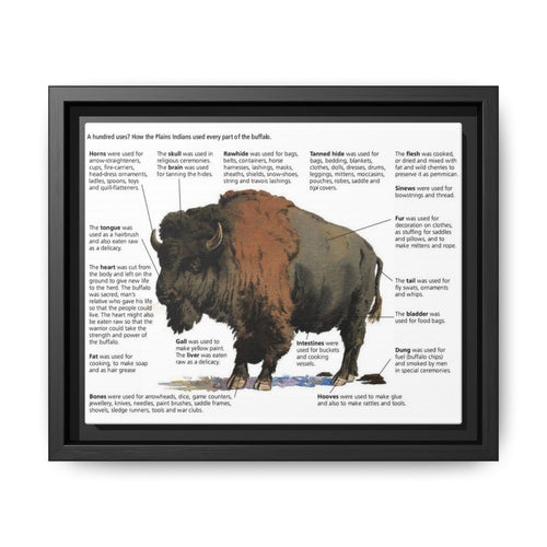 Buffalo Uses Guide Poster, How Plains Indians Used Every Part Of The Buffalo Horizontal Poster