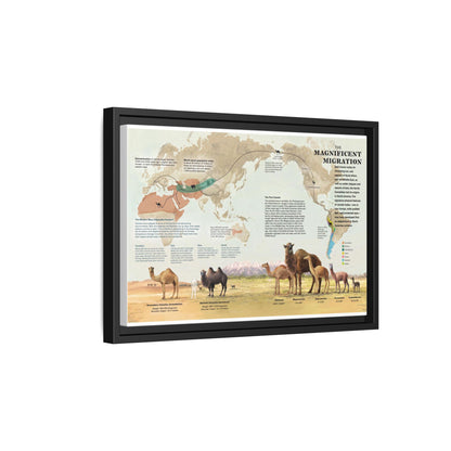 Camel Migration The Magnificent Migration Camelidae Vertical Poster