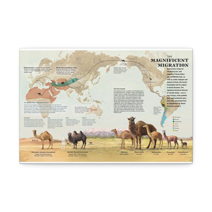 Camel Migration The Magnificent Migration Camelidae Vertical Poster