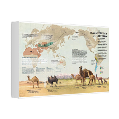 Camel Migration The Magnificent Migration Camelidae Vertical Poster