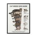 Cat Breed Size Guide Poster, Popular Domestic Cat Breeds Comparison Chart Wall Art Canvas Print