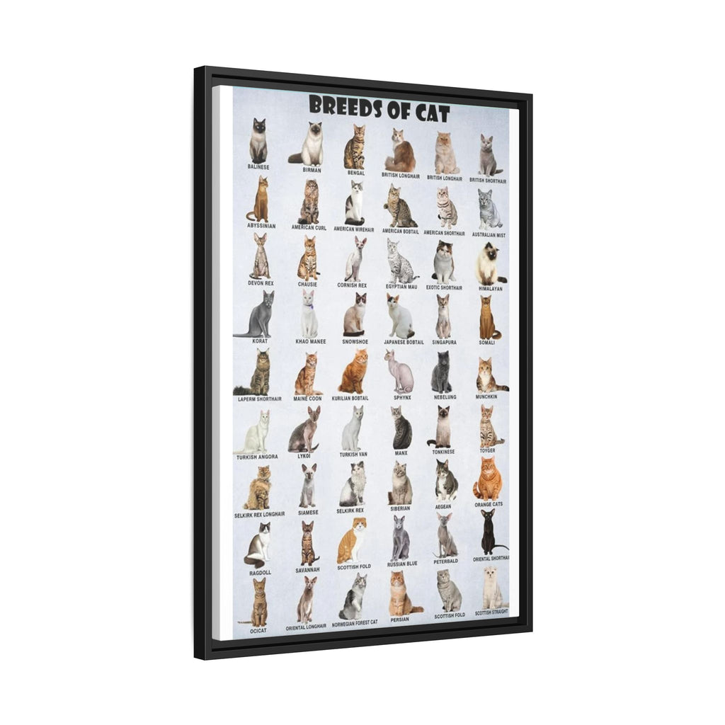 Cat Breeds Identification Poster, Domestic Cat Breed Chart, Popular Cat Types Guide, Feline Educational Canvas Print