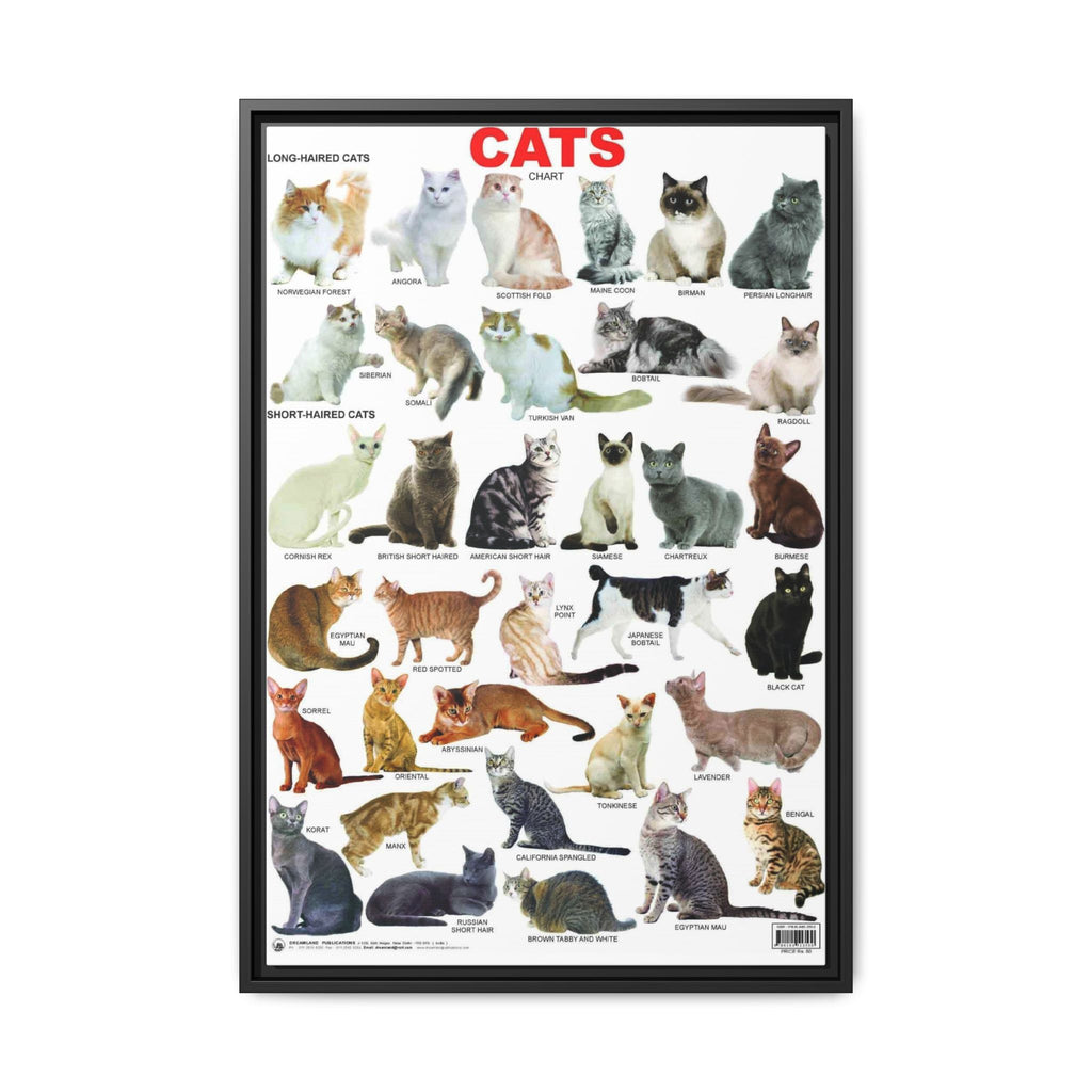 Cat Breeds Poster, Illustrated Cat Breed Identification Chart, Educational Feline Wall Art Canvas Print