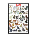 Cat Breeds Poster, Illustrated Cat Breed Identification Chart, Educational Feline Wall Art Canvas Print