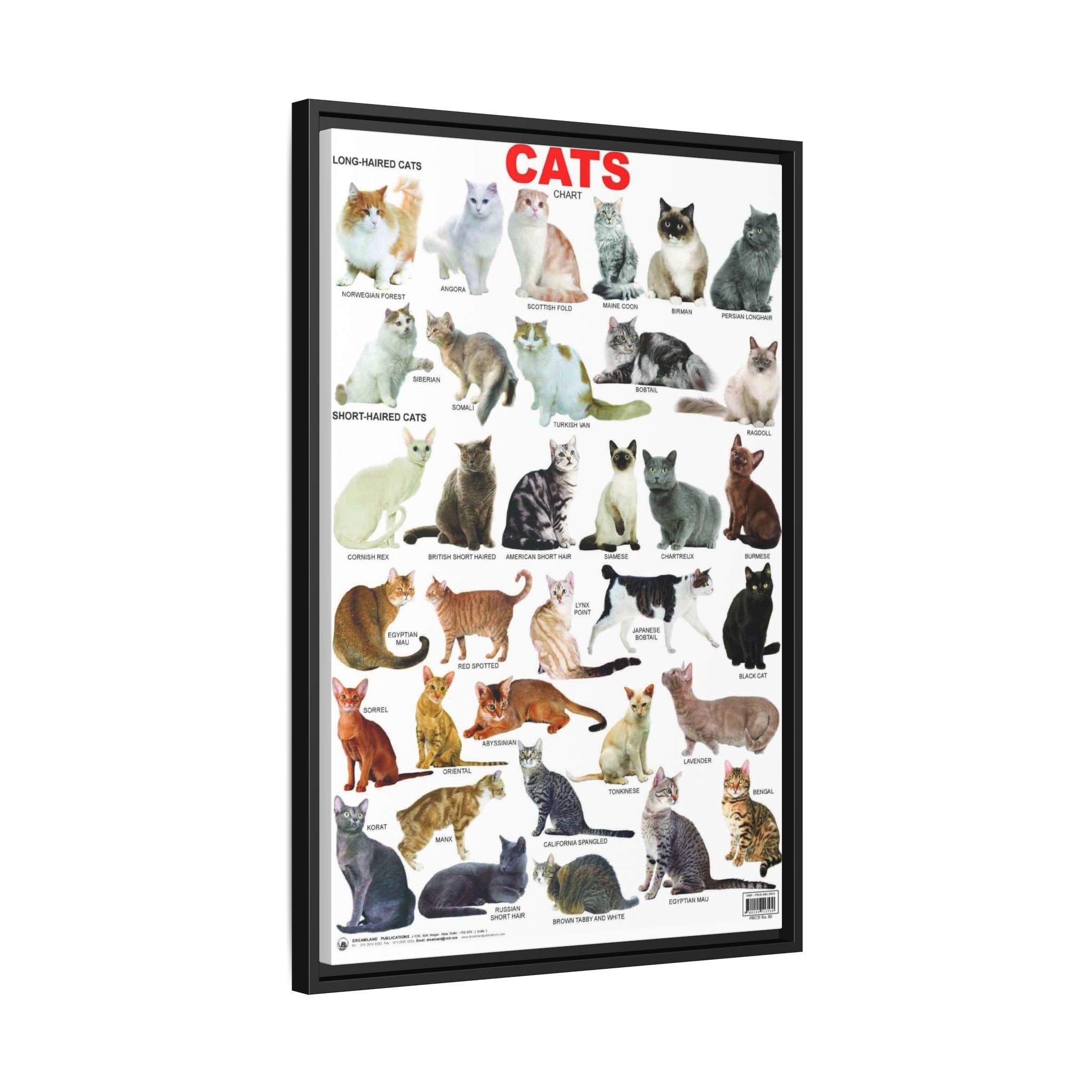 Cat Breeds Poster, Illustrated Cat Breed Identification Chart, Educational Feline Wall Art Canvas Print