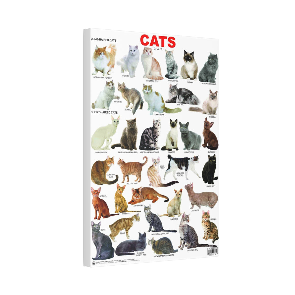 Cat Breeds Poster, Illustrated Cat Breed Identification Chart, Educational Feline Wall Art Canvas Print