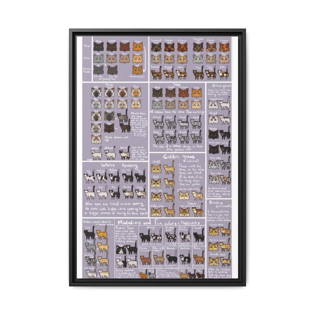 Cat Coat Colors and Patterns Poster, Feline Genetics Chart, Cat Markings Identification Guide, Cat Color Mutations Educational Canvas Print