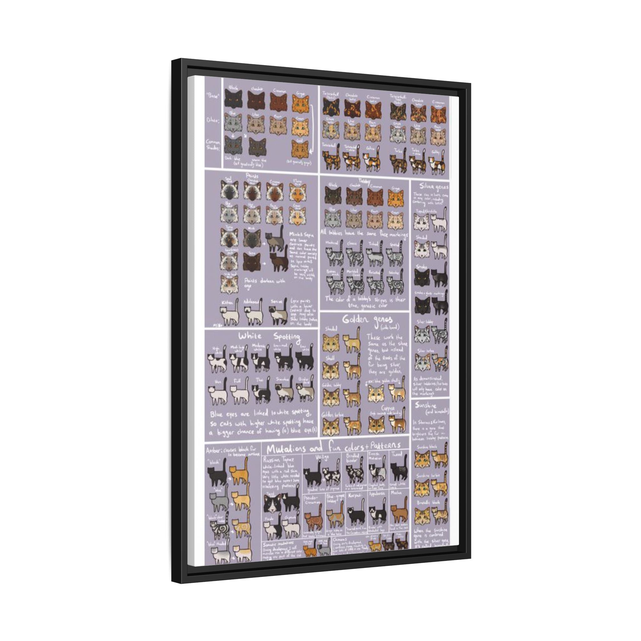 Cat Coat Colors and Patterns Poster, Feline Genetics Chart, Cat Markings Identification Guide, Cat Color Mutations Educational Canvas Print