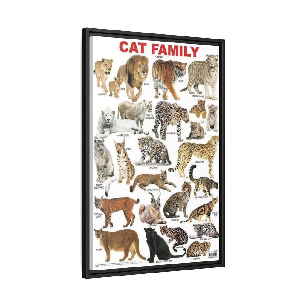 Cat Family Poster, Wild Cat Species Identification Chart, Big Cats of the World Wall Art Canvas Print