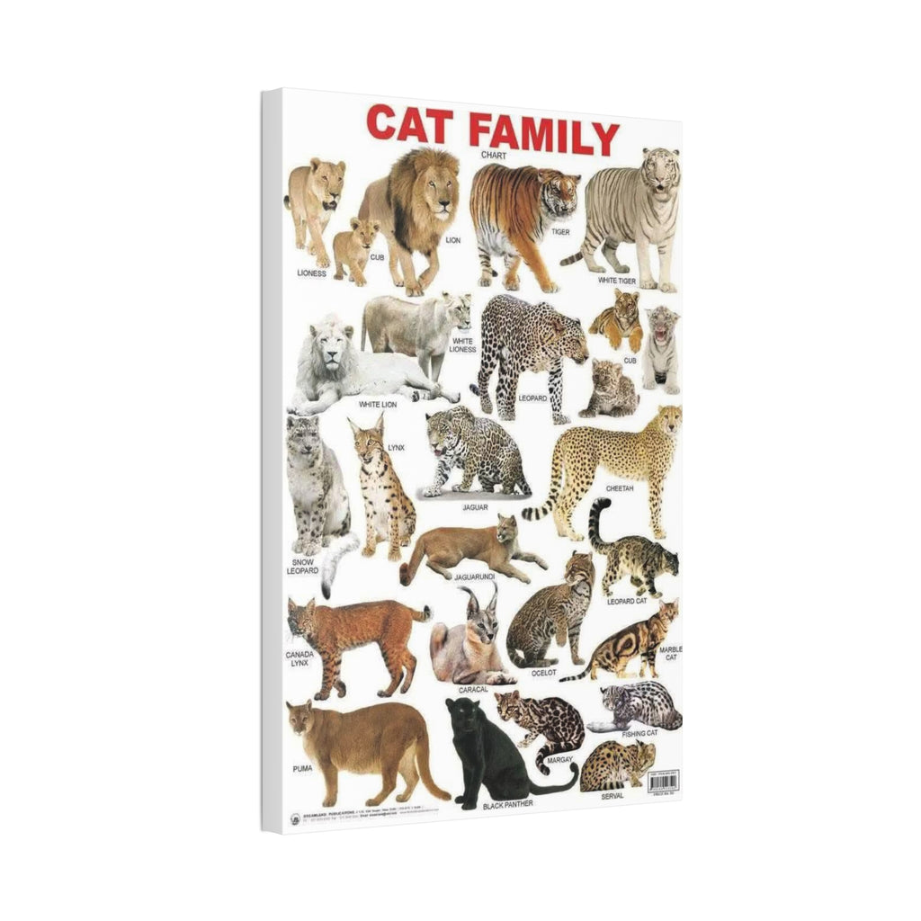 Cat Family Poster, Wild Cat Species Identification Chart, Big Cats of the World Wall Art Canvas Print