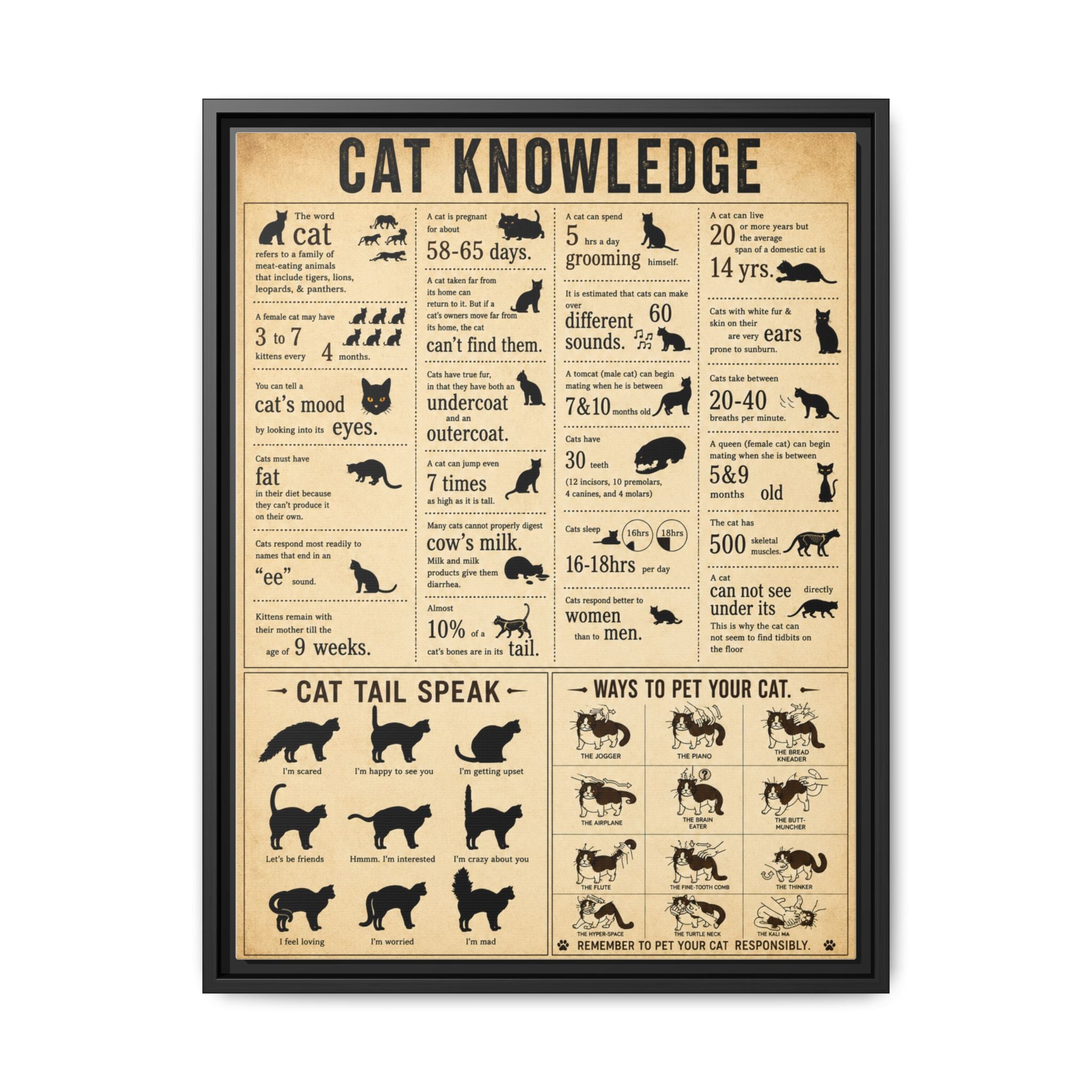 Cat Knowledge Guide. I particularly like the section on how to pet cats