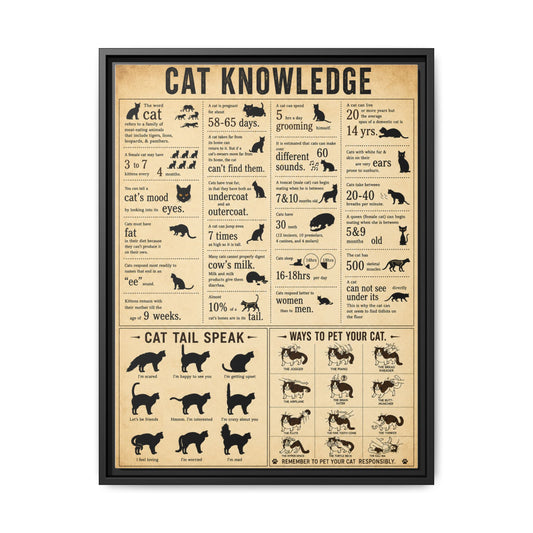 Cat Knowledge Guide. I particularly like the section on how to pet cats