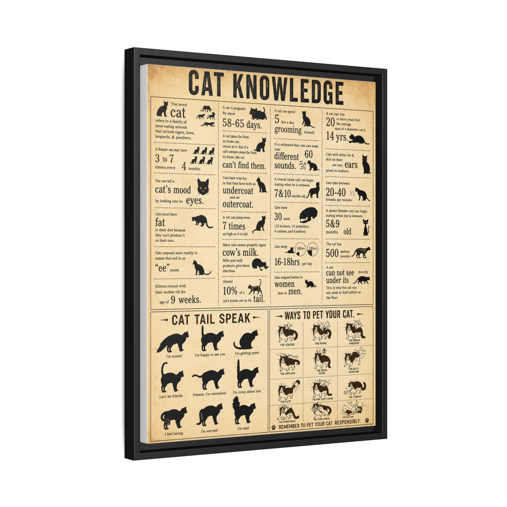 Cat Knowledge Guide. I particularly like the section on how to pet cats