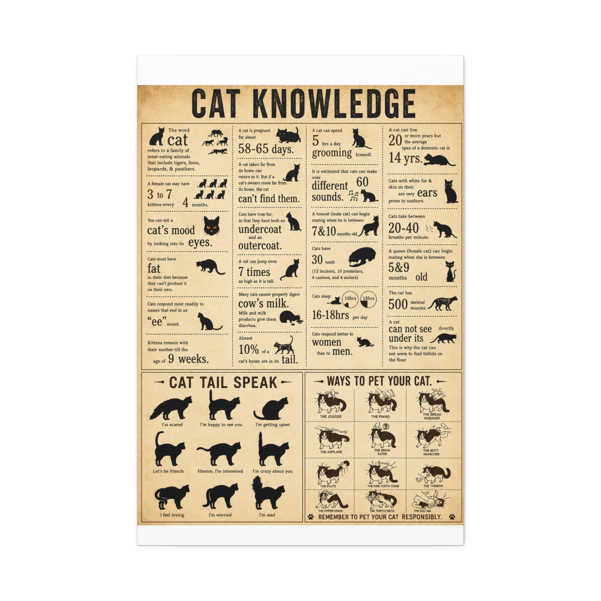 Cat Knowledge Guide. I particularly like the section on how to pet cats