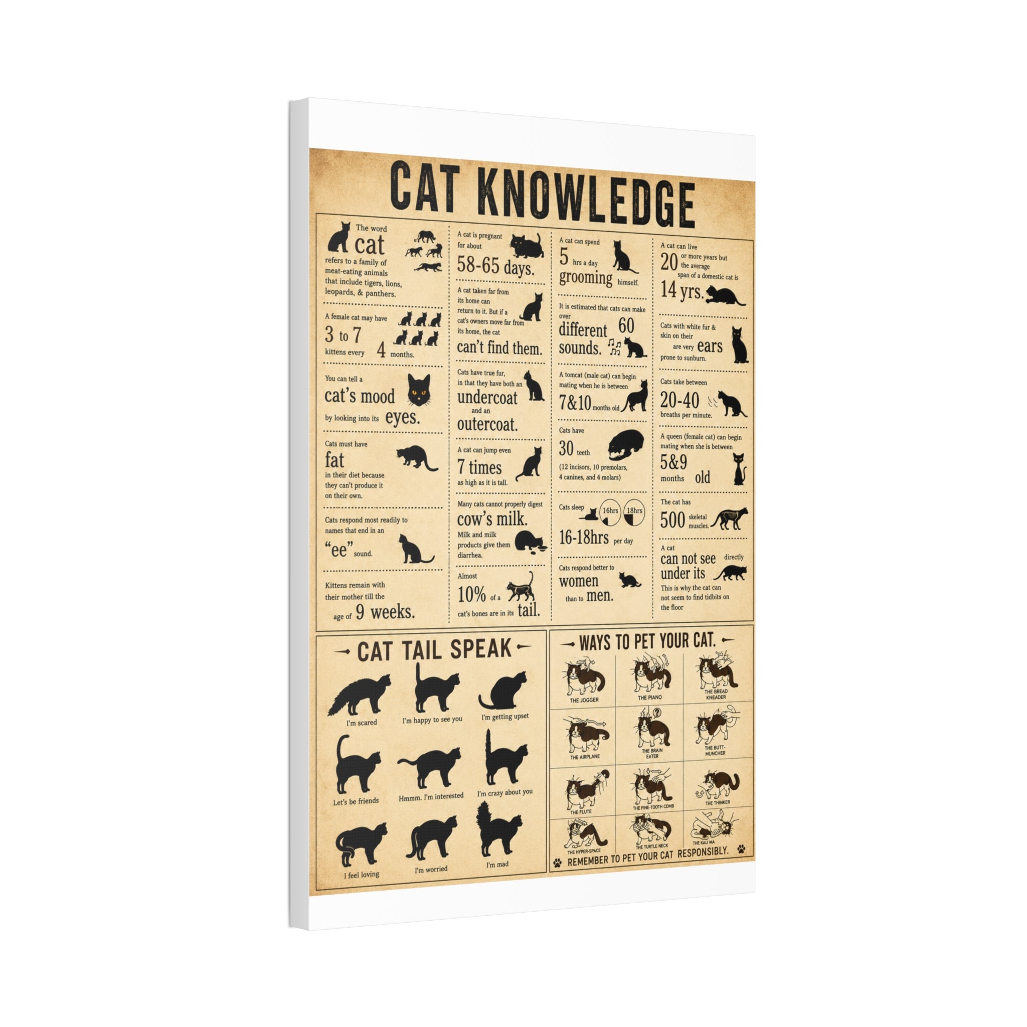 Cat Knowledge Guide. I particularly like the section on how to pet cats