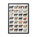 Cattle Breeds Poster, Cow Breed Identification Chart, Farm Animal Educational Wall Art Canvas Print