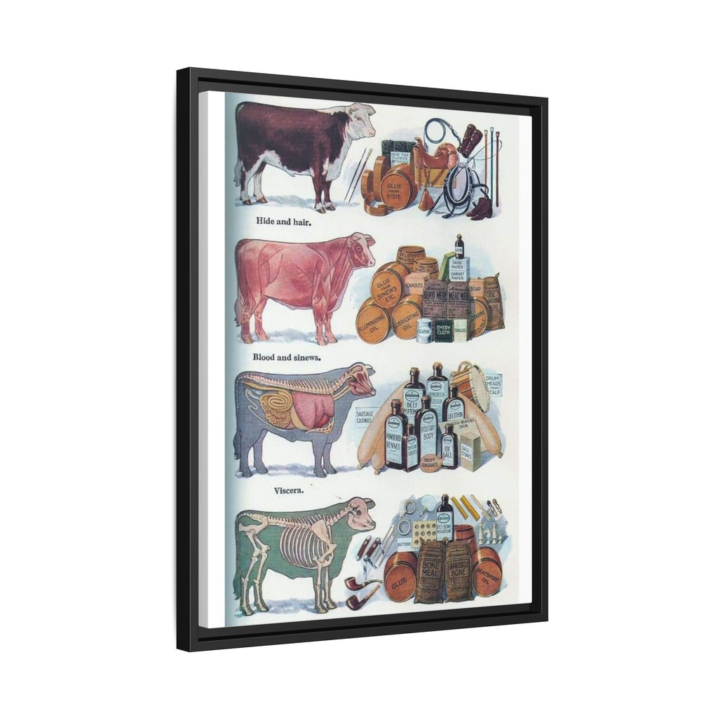Cattle By Products Poster, Vintage 1949 Cattle By Products Chart, Cow Anatomy and Agricultural Industry Educational Canvas Print