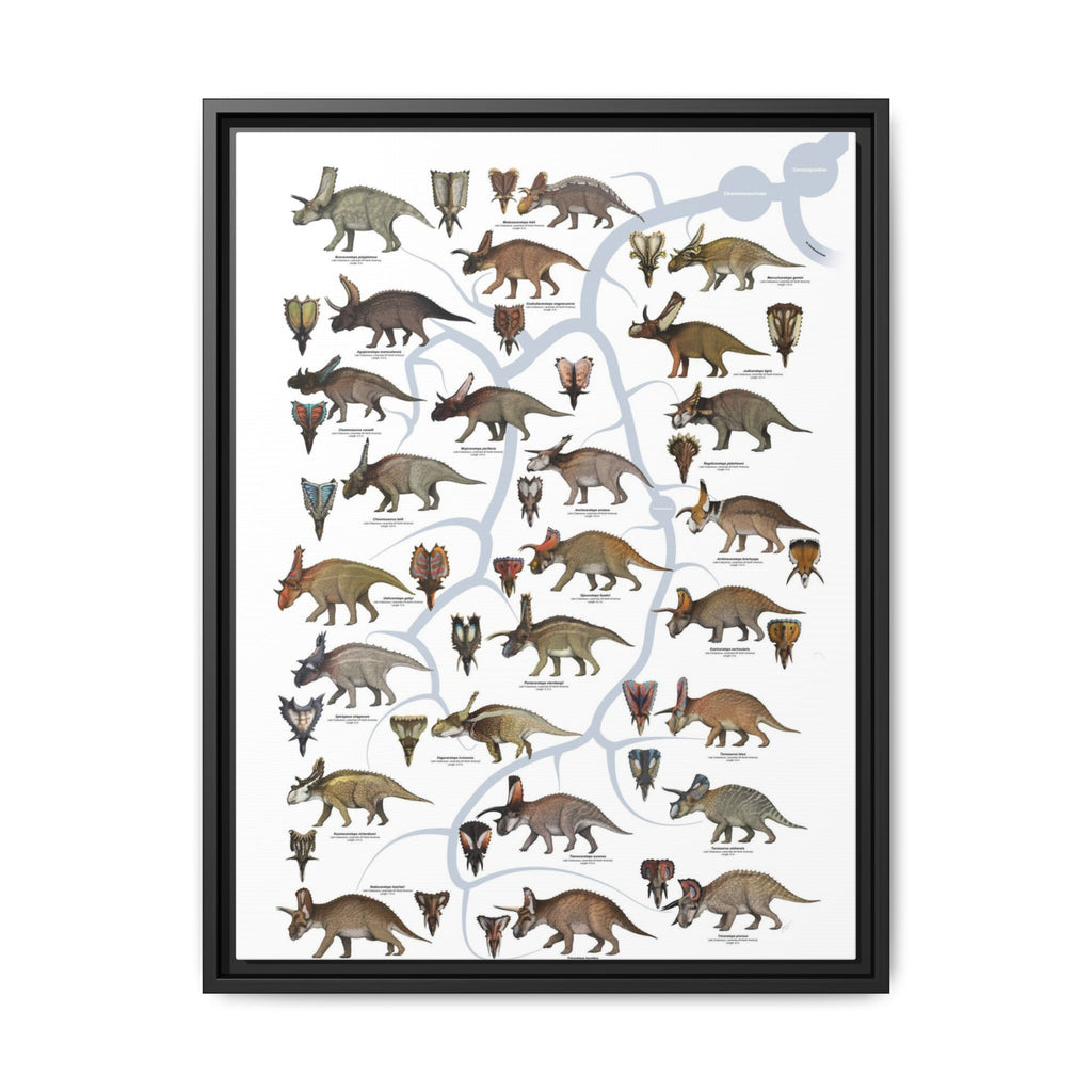 Ceratopsidae Evolutionary Tree Poster, Horned Dinosaur Family Tree Chart, Ceratopsian Evolution Guide, Dinosaur Educational Canvas Print