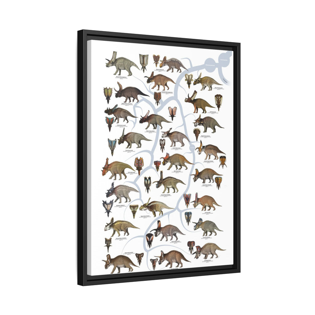 Ceratopsidae Evolutionary Tree Poster, Horned Dinosaur Family Tree Chart, Ceratopsian Evolution Guide, Dinosaur Educational Canvas Print