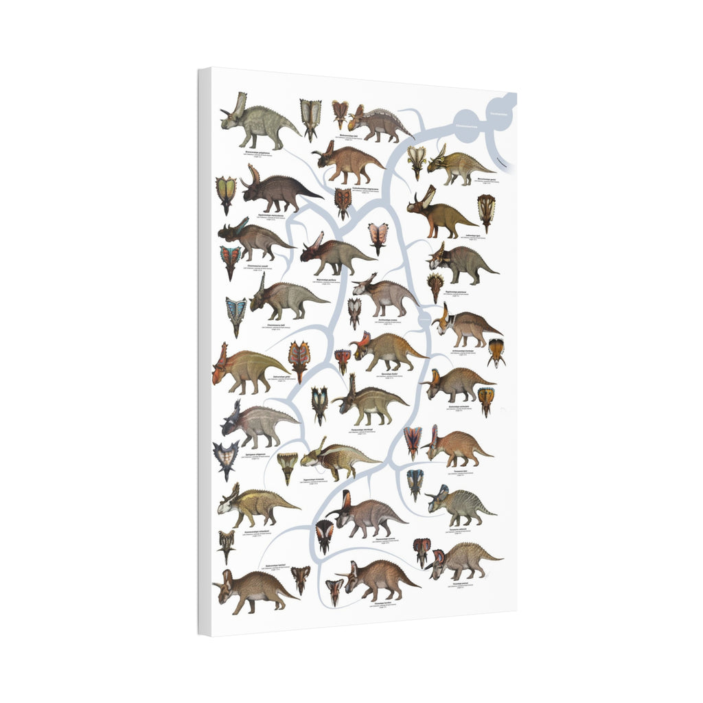 Ceratopsidae Evolutionary Tree Poster, Horned Dinosaur Family Tree Chart, Ceratopsian Evolution Guide, Dinosaur Educational Canvas Print