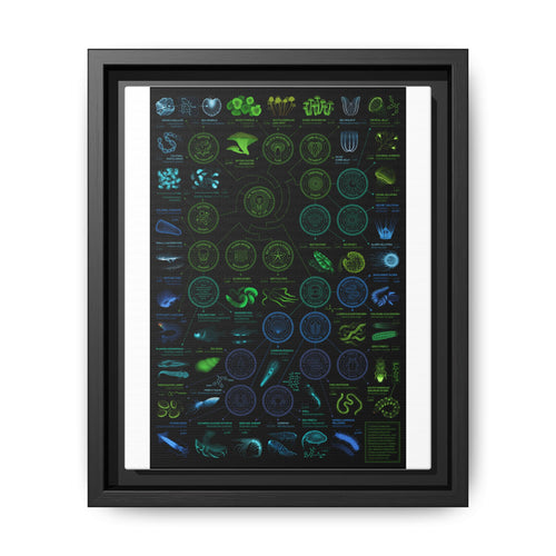 Chart Of Bioluminescent Species Bioluminescence Tree Of Life Vertical Poster