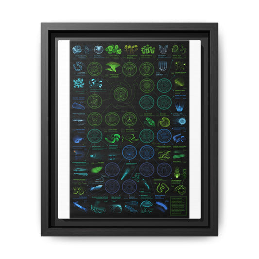 Chart Of Bioluminescent Species Bioluminescence Tree Of Life Vertical Poster