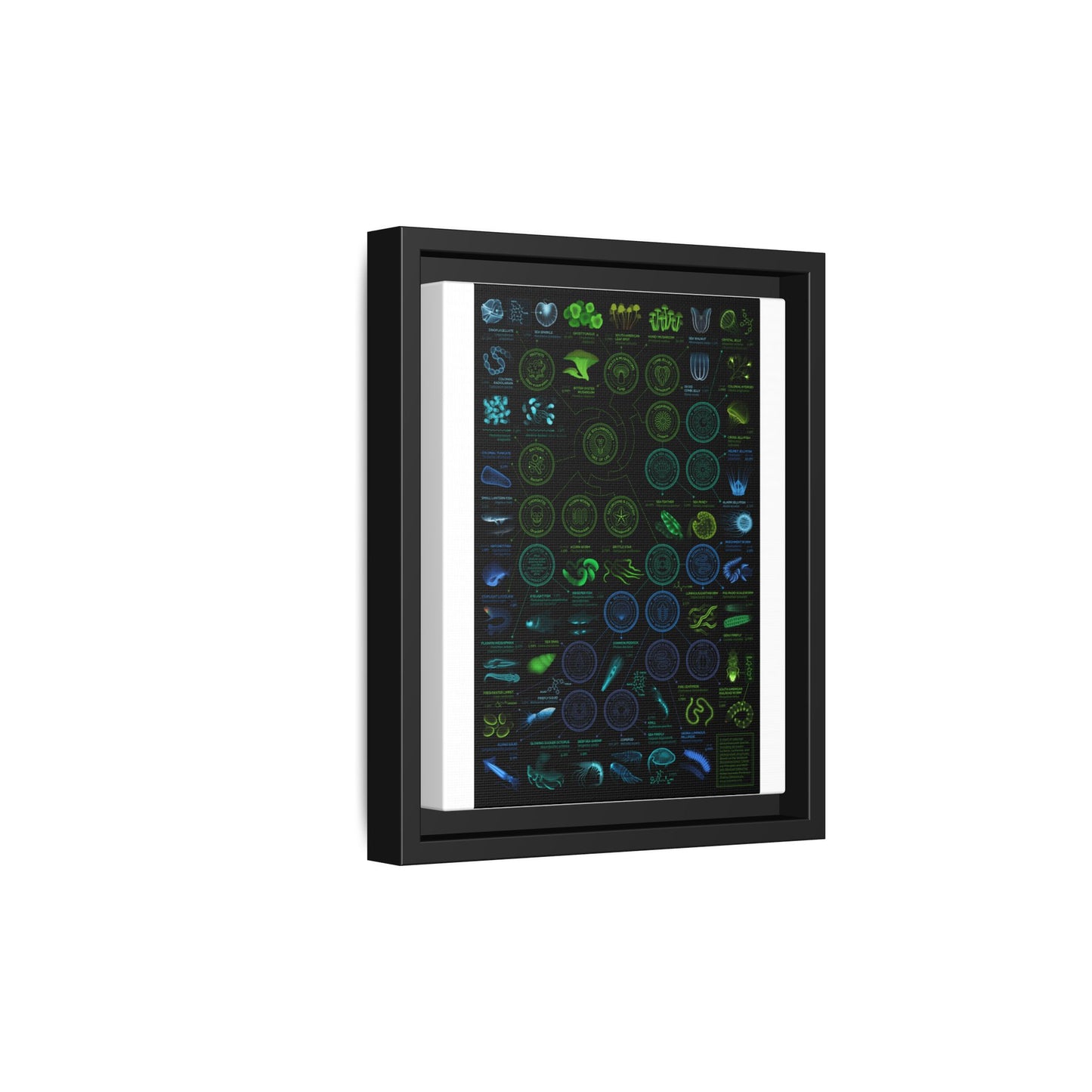 Chart Of Bioluminescent Species Bioluminescence Tree Of Life Vertical Poster