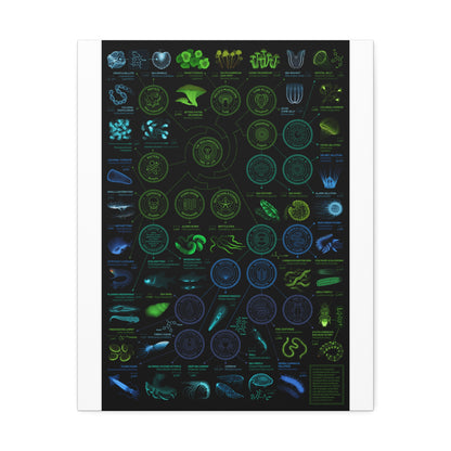 Chart Of Bioluminescent Species Bioluminescence Tree Of Life Vertical Poster
